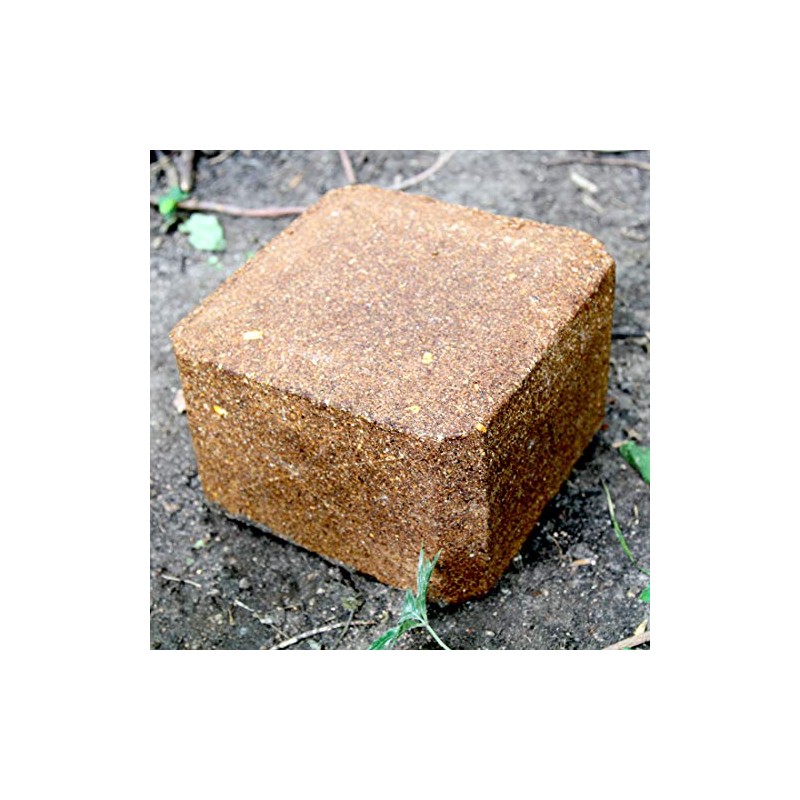 Ani-Logics Outdoors Crush Persimmon Block