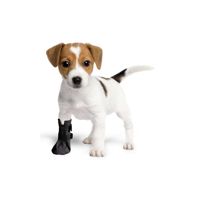 Wound Recovery Boot for Dogs. Protects and Heals Paw. Made