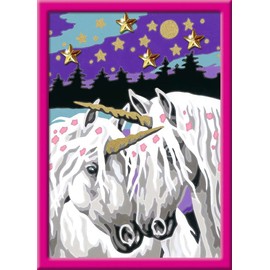 Ravensburger Paint by Numbers