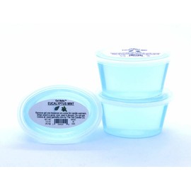 Eucalyptus Mint Scented Gel Melts™ by The Gel Candle Comany for Warmers - 3 Pack Peel, Melts and Enjoy