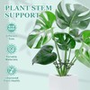 8pcs Plant Stem Support, Plant Support for Indoor Plants, Plastic