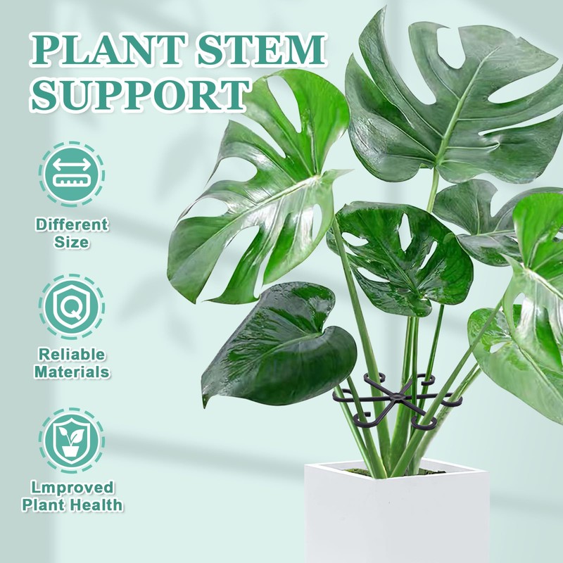 8pcs Plant Stem Support, Plant Support for Indoor Plants, Plastic