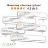 Leafy Pack 2 Cúrcuma en Polvo Orgánica Antiinflamatorio 200g