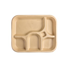 Bagasse Compostable Plates, Eco-Friendly Alternative to Disposable Plates, Made from Sugarcane Fibre Residue, Biodegradable (25, 5 Compartmental Plates)