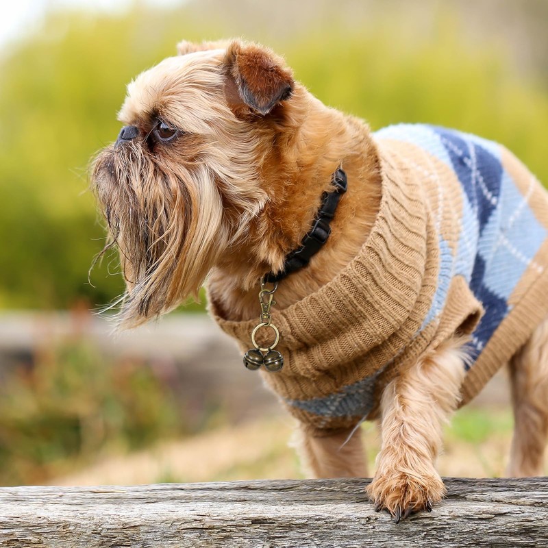 Bruislard Dog Bells for Collar Pet Tracking with Snap Clips,