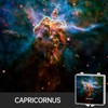 POCOCO Constellation A: Discs Galaxy Projector, 5K Ultra HD, Semiconductor