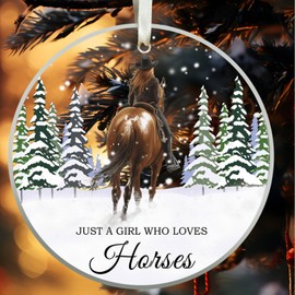 Christmas Ornaments 2024, Horse Ornaments for Christmas Tree Horse Gifts for Women, Horse Decor Acrylic Hanging Christmas Decorations for Horse Lovers