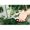 Dragon Treasure Round Farming For Utility Scissors No. (A Little