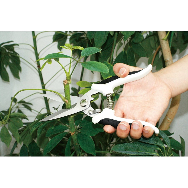 Dragon Treasure Round Farming For Utility Scissors No. (A Little