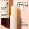NUXE Rêve de Miel Lip Balm With Shea Butter and