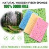 Compressed Cellulose Kitchen Sponges 12Pack，Non-Scratch Biodegradable Natural Colorful Sponge Scrub