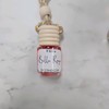 Highly Scented Air Freshners:_Pumpkin Guts