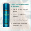 Rita Hazan Root Concealer Touch Up Spray - Instant Spray