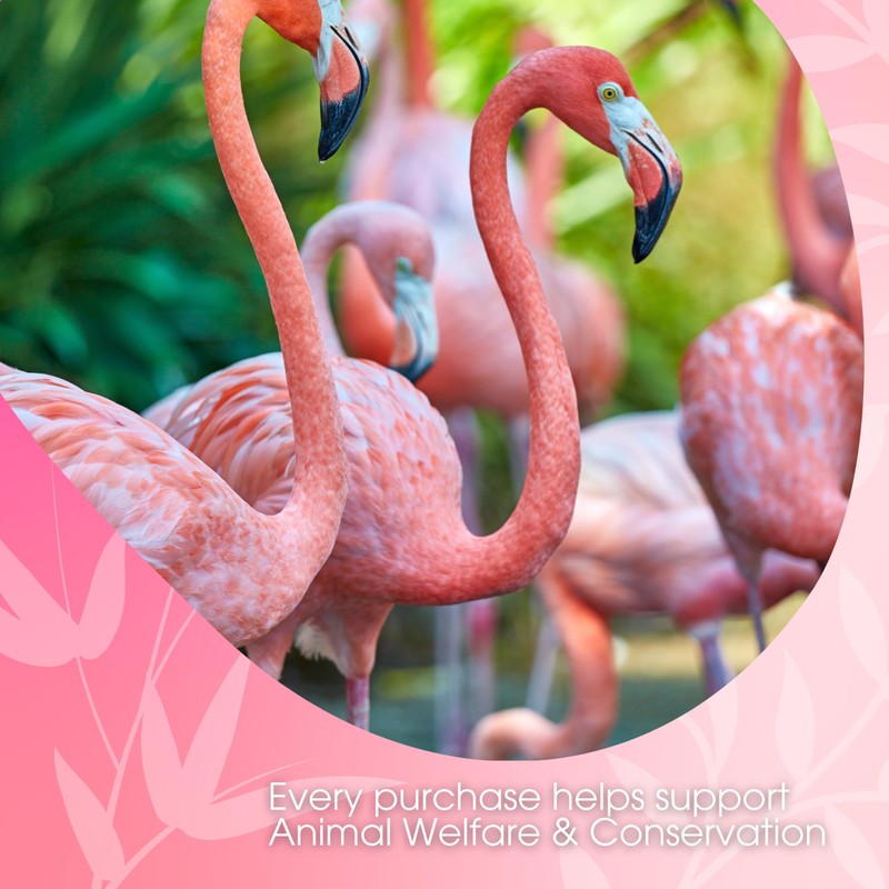 Flamingo Vanilla Decaffeinated Reduced Calorie Chai Tea Latte Mix, 48