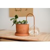 Plantstraws Beautiful Self-Watering Wick System for Effortless Plant Care, Automatic