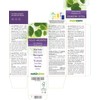 Silver Lime (Tilia tomentosa) Flowers and Bracts (Leaves) Alcohol-Free Mother