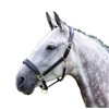 Shires Blenheim Leather Travel Headcollar: Havana: Cob