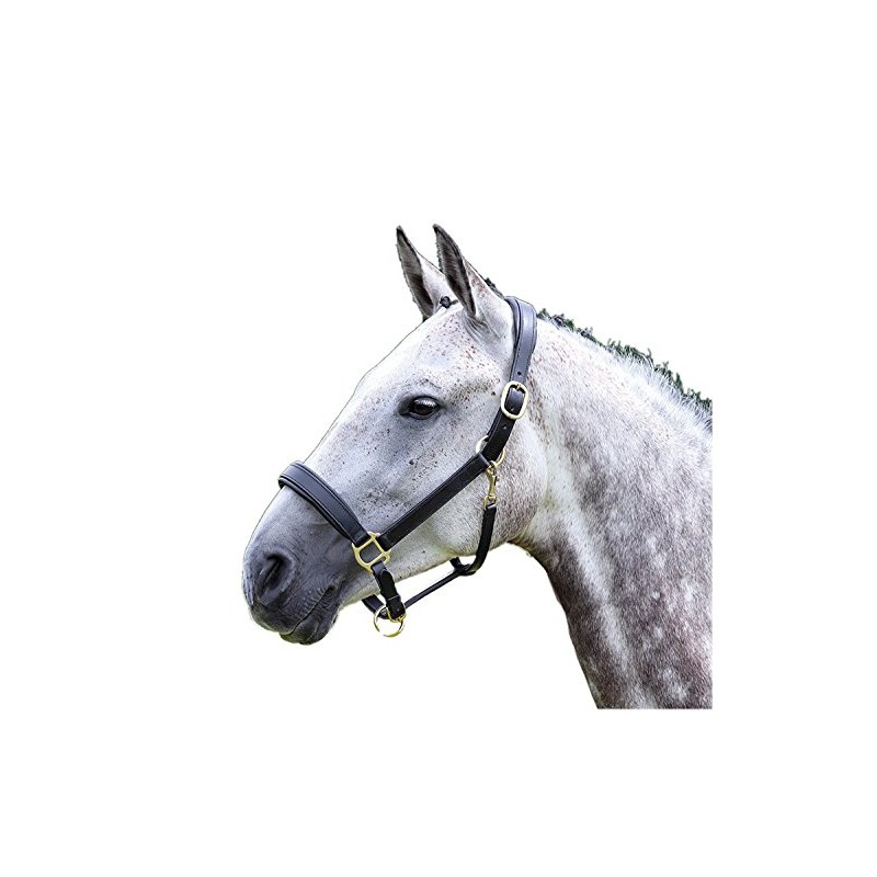 Shires Blenheim Leather Travel Headcollar: Havana: Cob