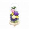 Offering Glass Dome Glass Dome Shizuki