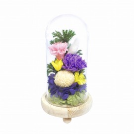 Offering Glass Dome Glass Dome Shizuki