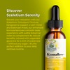Amazing Botanicals Amazing Botanicals Platinum Sceletium Tortuosum Extract Tincture -