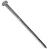 NATIONAL NAIL 54275 5-Pound 10-Inch Spike Nail