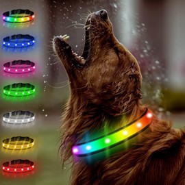 TRIPOLACO Light Up Dog Collar - Multicolor LED Dog Collar with 3 Glow Modes, Rechargeable Glow in The Dark Dog Collars for Small, Medium & Large Dogs, 1000 Ft Visibility, IPX7 Waterproof (Black, M)