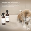 Muse Apothecary Home Ritual Active Odor Eliminator Spray - Furniture
