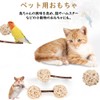 Samcos Parakeet Toy, Pet Toy, Set of 10, Diameter 1.2