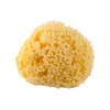 Rotho Babydesign Mediterranean Sponge, Natural Product, Diameter: 9-10 cm, Yellow