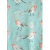 GlamLondon Women's Watercolour Robin Bird Printed Christmas Scarf (Mint Green)