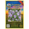 Everwilde Farms - 2000 Mistflower Native Wildflower Seeds - Gold