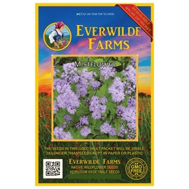 Everwilde Farms - 2000 Mistflower Native Wildflower Seeds - Gold Vault Jumbo Seed Packet