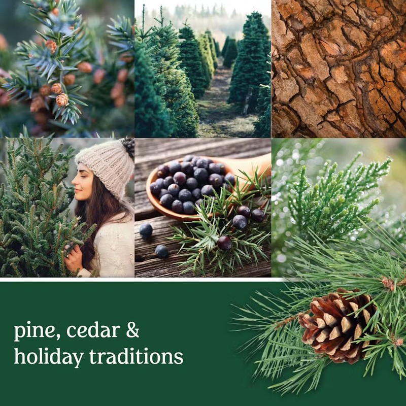 Yankee Candle Gel Car Jar Ultimate Hanging Odor Neutralizing Air