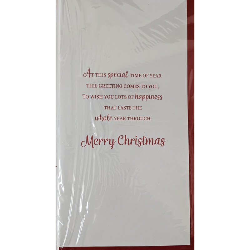 to Very Special Friends at Christmas Card White L