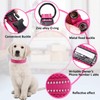 Petcomer Adjustable Reflective Nylon Dog Collar - Padded, Breathable, Anti-Choke,