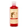 Gel Estimulador De Crecimiento Chile Clásico Florigan® 500ml