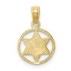 Unbranded 10k Yellow Gold Star of David in Circle Frame