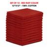 TALVANIA Dishcloths for Kitchen Cotton Terry Dish Cloths 12 Pack