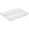 PRISTINE ENTERPRISE Disposable Dinner Plates Cups Bowls in Biodegradable (5