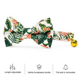 Bow Tie Cat Collar Set, Wedding/Birthday Gift for Cat, Summer Strelizia Flower Floral, Cat Accessories