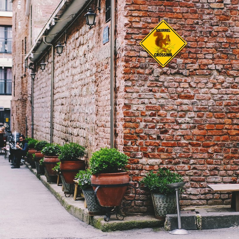 BTHUKO Squirrel Crossing 12" X 12" Aluminum Sign