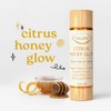 Tallow Lip Serum and moisturizer, Citrus Honey Glow flavor by