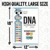 DNA Explanation Classroom Poster - Science Classroom Poster - 12