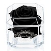 Eternal Petals A 100% Real Rose That Lasts Years, Handmade