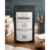Pranature Melena De León Polvo Puro 100g