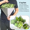 LaLaGreen Succulent Wall Planters - 2 Pack, 12 Inch Large