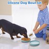 Apatal Silicone Dog Bowl Set of 2 Flat Puppy Food