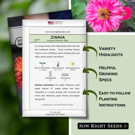 Sow Right Seeds - Zinnia Cactus Flower Seeds for Planting - Beautiful Flowers to Plant in Your Garden - Non-GMO Heirloom Seeds - Red and Pink Variety - Attract Pollinators - Beautiful Cut Flower (1)
