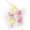 Pink Lemonade Party Cups Set of 12 Disposable for Lemon